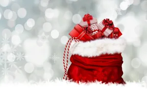 Marché de Noël et bourse aux jouets
