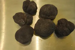 Marché de Noël et Fête de la Truffe